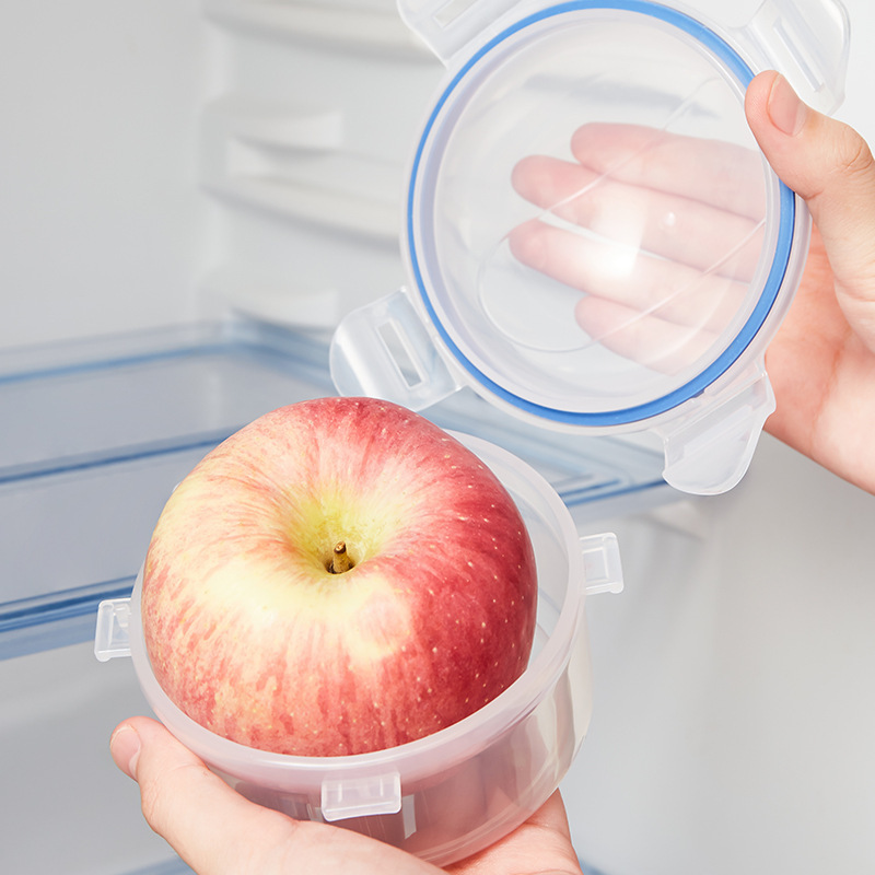 Mini contenitore per alimenti  - Food Snacks Gifts recensione e prezzo